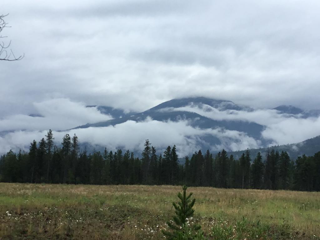 Rose Cottage Bed & Breakfast Valemount Luaran gambar