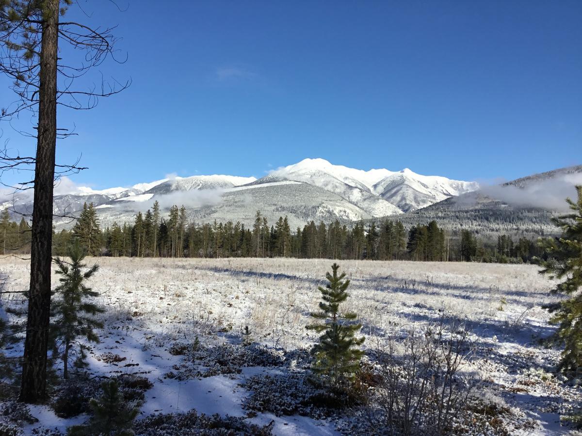 Rose Cottage Bed & Breakfast Valemount Luaran gambar