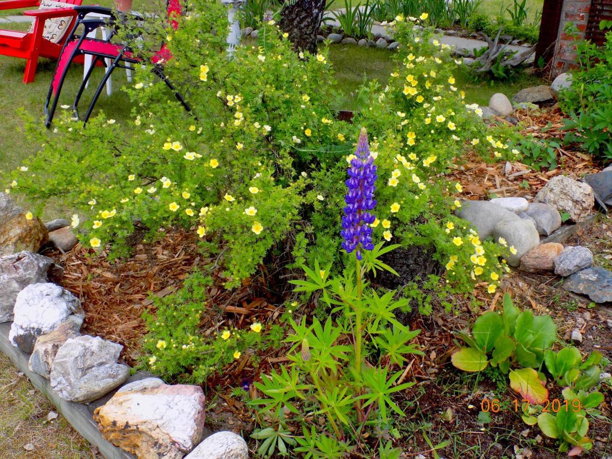 Rose Cottage Bed & Breakfast Valemount Luaran gambar